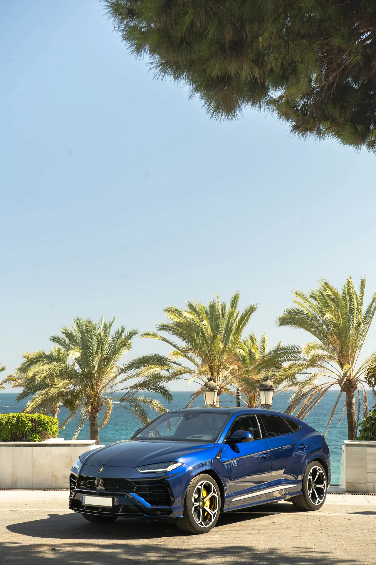 Lamborghini Urus in Marbella