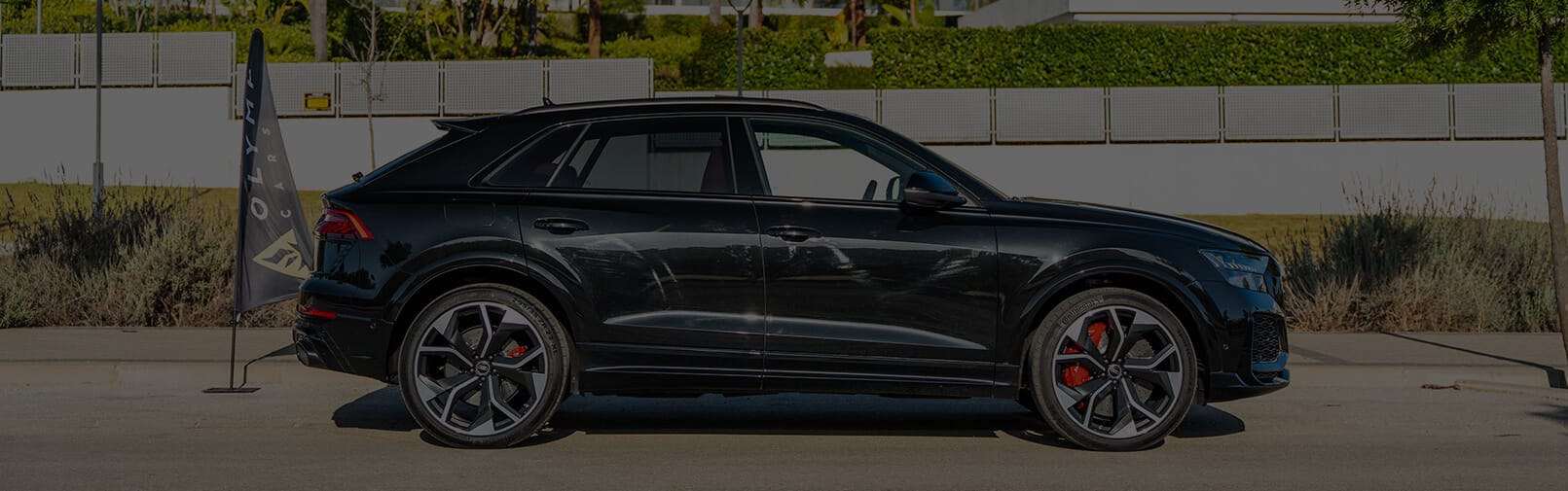 Audi RSQ8